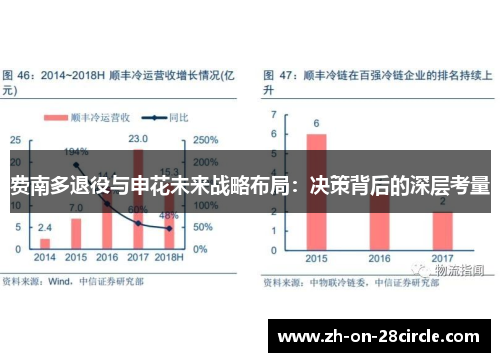 费南多退役与申花未来战略布局:决策背后的深层考量 费南多退役与申花未来战略布局:决策背后的深层考量