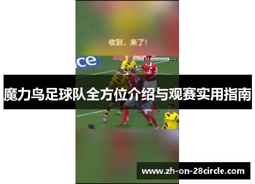 魔力鸟足球队全方位介绍与观赛实用指南