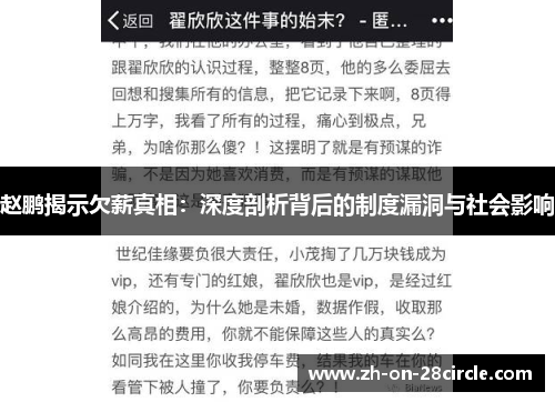 赵鹏揭示欠薪真相：深度剖析背后的制度漏洞与社会影响